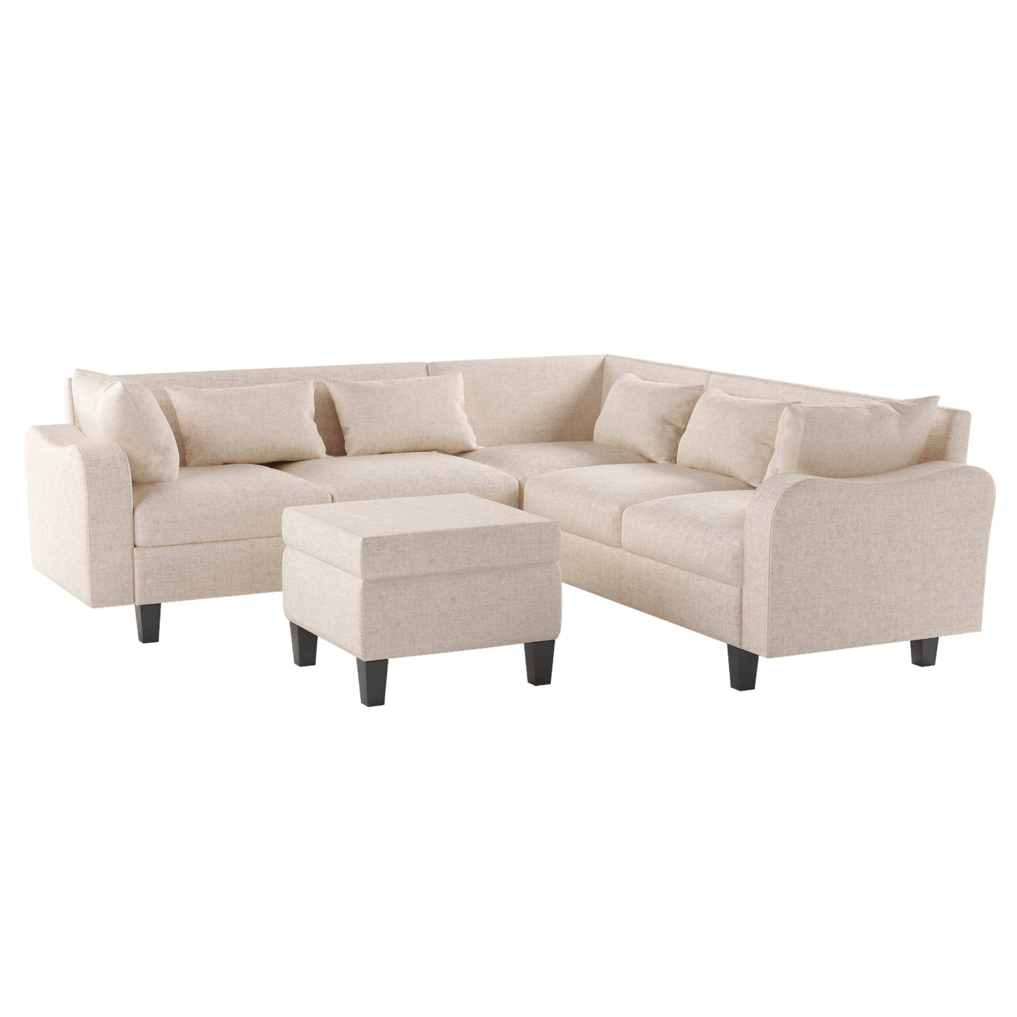 Modern Sofa with coffee table