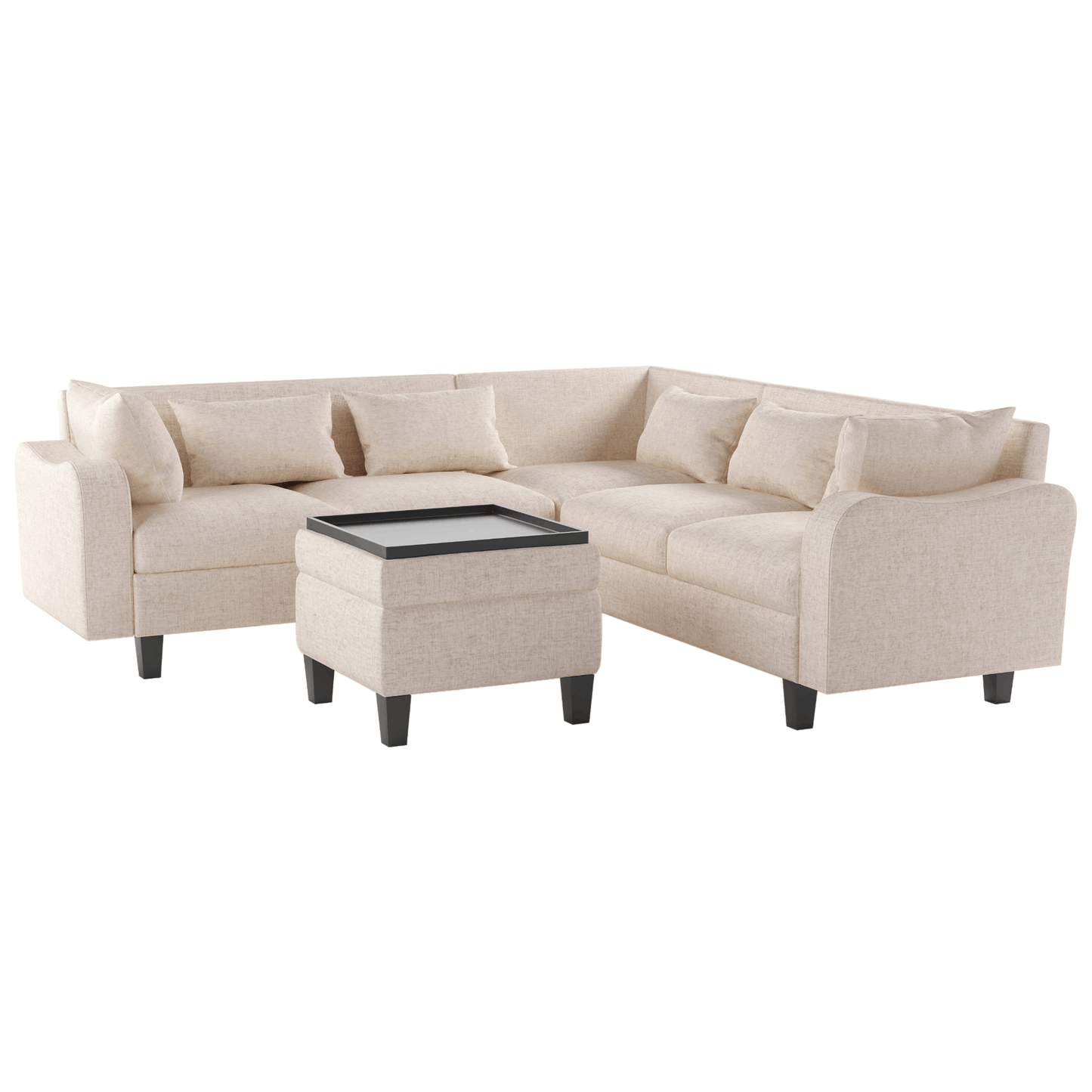 Modern Sofa with coffee table