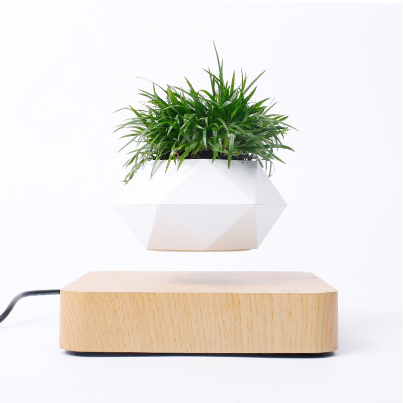 Novelty Magnetic Levitation FlowerPot