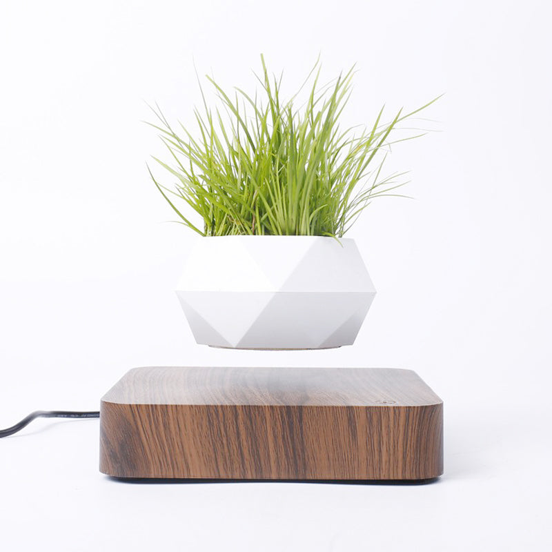 Novelty Magnetic Levitation FlowerPot