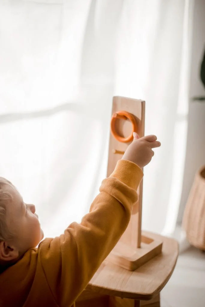 Wooden Sorting Ring Toss